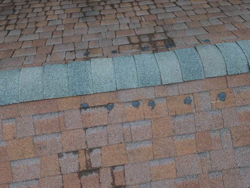 Close-up of the finished shingle ridge cap running end to end with sealant dabs along both slopes
