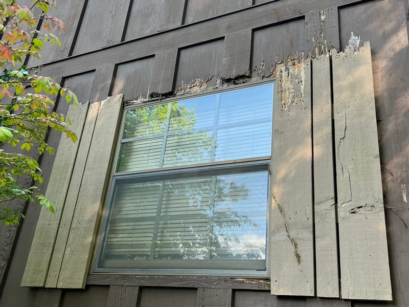 Rotted, delaminating wood trim at a window head on cedar siding, the paint peeled back to bare wood