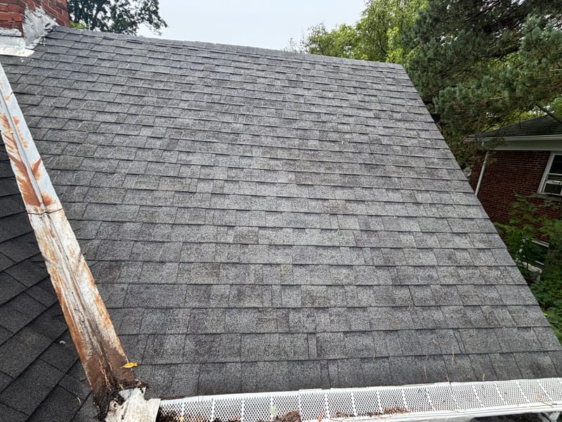 Clean shingle roofline with a clear gutter and mesh screen after the cleaning was completed