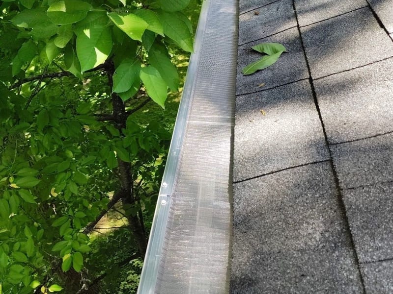 Close-up along the new gutter screens installed tight to the shingle edge beneath overhanging tree branches