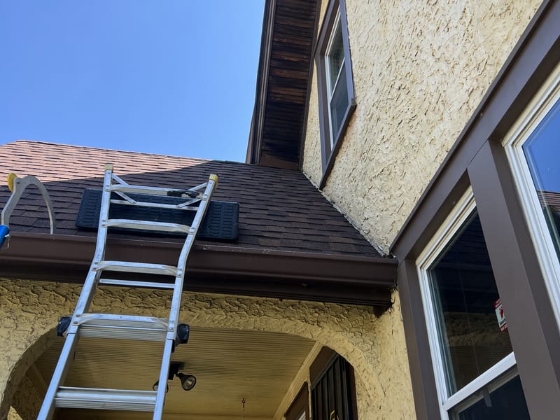 Extension ladder set against the house with roof protection down before the repair