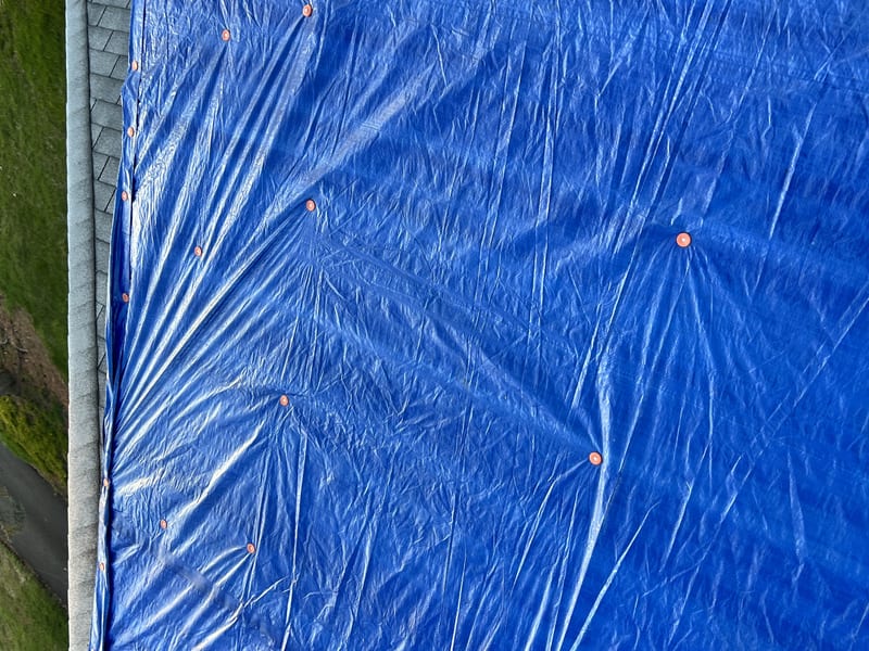The finished emergency dry-in: the blue tarp laid over the stripped section and buttoned down with a grid of cap nails