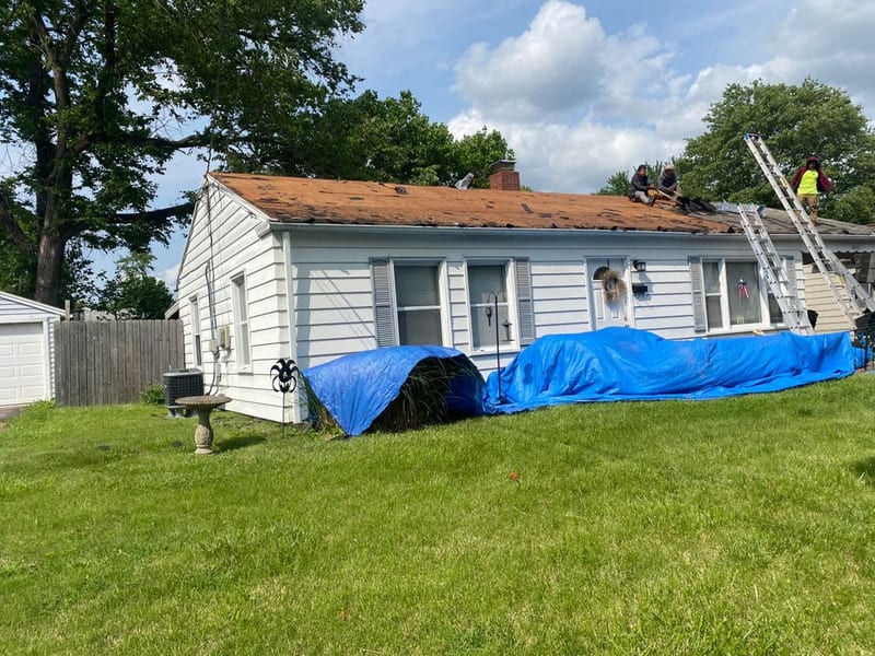 The ranch mid tear-off, stripped to bare plank deck with ladders up and the landscaping beds tarped below