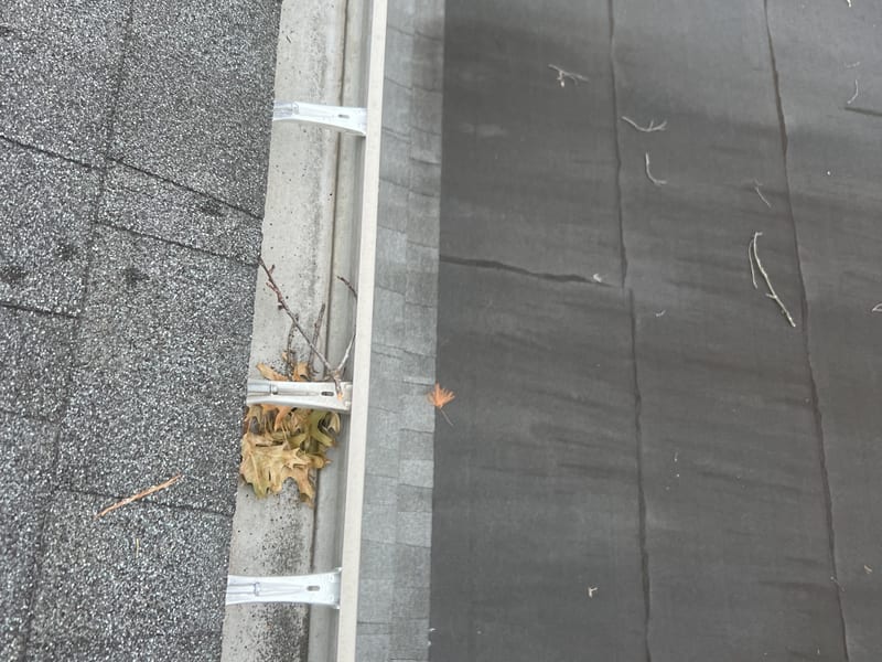 Close-up of a gutter hanger bracket with a clump of twigs, stems, and matted leaves caught against it, grit and shingle granules lining the trough
