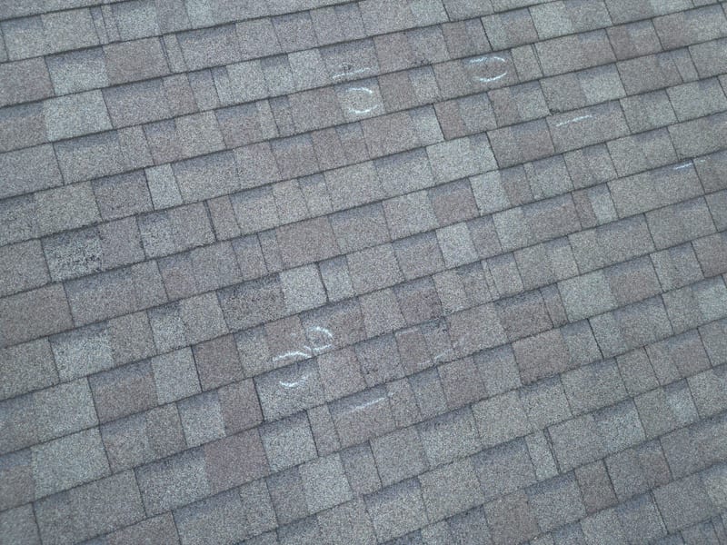 Straight-down close-up of chalk-circled hail hits across the brown shingle field