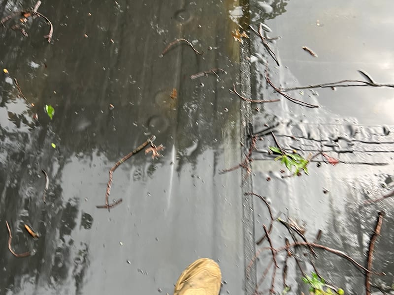 Standing water across a flat EPDM roof after rain, with twigs and leaf debris pinned in the ponding and an inspector’s boot at the water’s edge for scale
