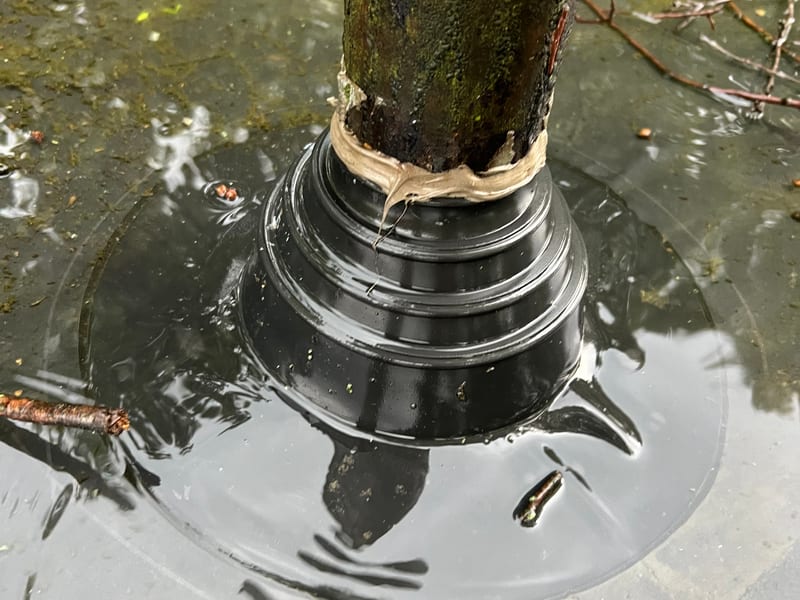 Rubber pipe boot flashing sealed tight around a cast-iron plumbing vent penetration on an EPDM roof, ringed by standing water after rain