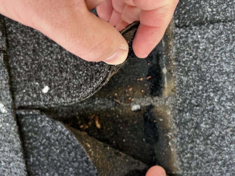 A roofer’s hand lifts the corner of an unsealed asphalt shingle tab to show the unbonded underside and trapped debris, the other hand holding a stick of white marking chalk