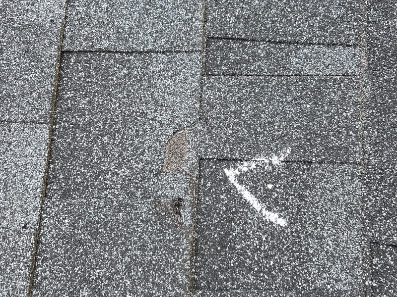 White chalk arrow drawn on a gray asphalt shingle roof pointing to a spot of granule loss and surface damage marked for warranty documentation