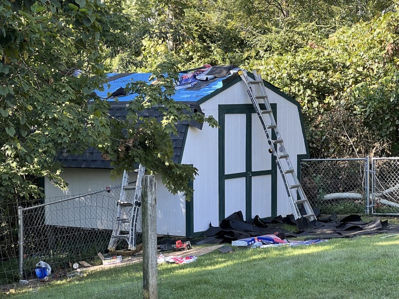 Shed mid-job with new charcoal shingles on the lower slope, a blue tarp over the unfinished upper roof, and torn-off roll roofing on the grass