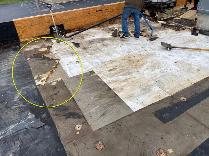 Crew tearing off a commercial low-slope roof, with the old EPDM membrane peeled back over water-stained recovery board and rotted layers exposed beside new parapet framing