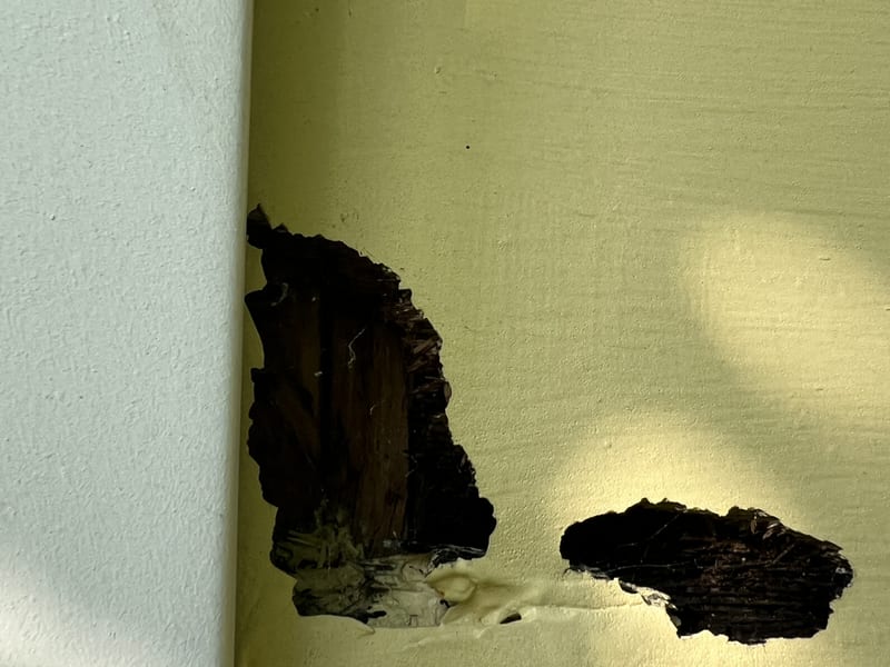Close-up of two rotted-through breaches in the painted wood lap siding hard against the white corner board