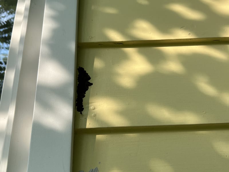 A second damage site beside the window trim, one breach ringed by a crumbling earlier patch that had let go