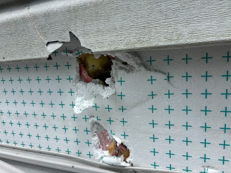 Panel removed to reveal the punctured foam sheathing board behind the damaged siding