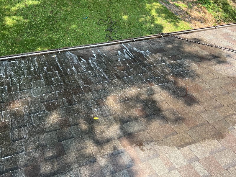 Roof plane during a soft wash treatment: one side still black with years of algae growth and treatment foam running down it, the other side already restored to the shingles' original tan blend color